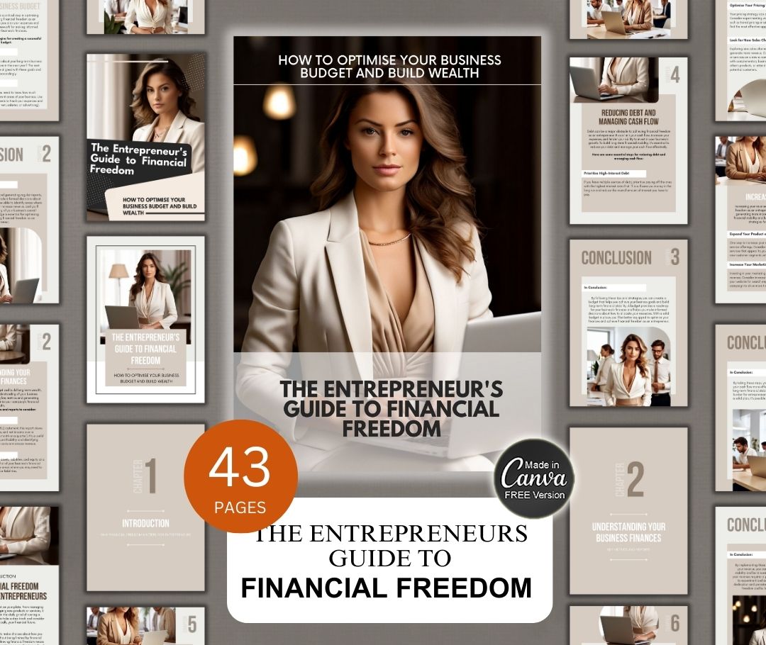 Entrepreneurs Financial Freedom Guide